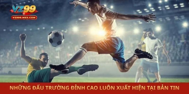 Những đấu trường đỉnh cao luôn xuất hiện tại bản tin